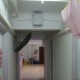 IMG (43)